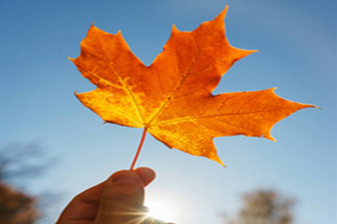 请到临沂看金秋 捕捉沂蒙好景色